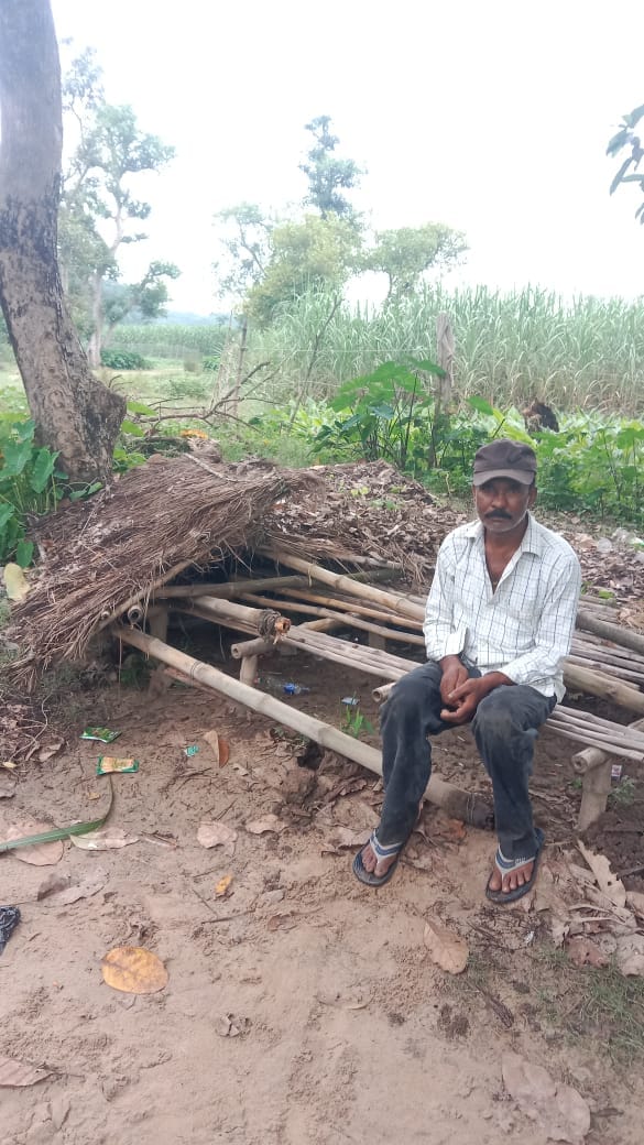 हाथियों ने गांव चंदिया हजारा के निताई विश्वास के खेत में खाई और खराब की गन्ना की फसल - किसान