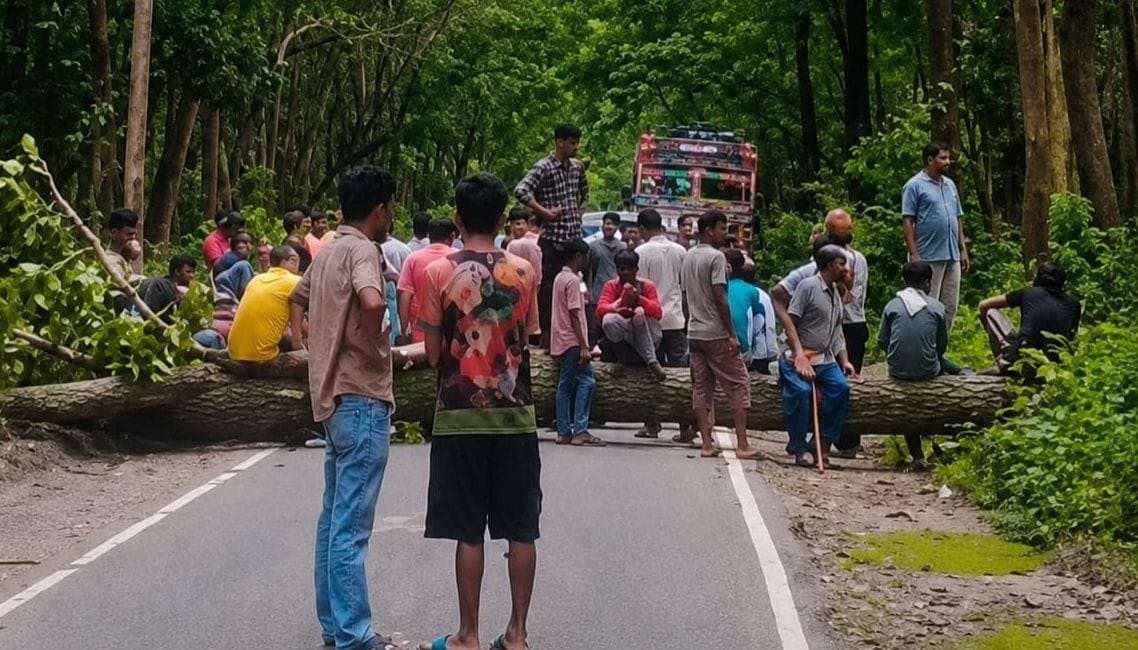मुख्य मार्ग से पेड़ को हटाते हुए एसएसबी जवान। स्रोत: एसएसबी