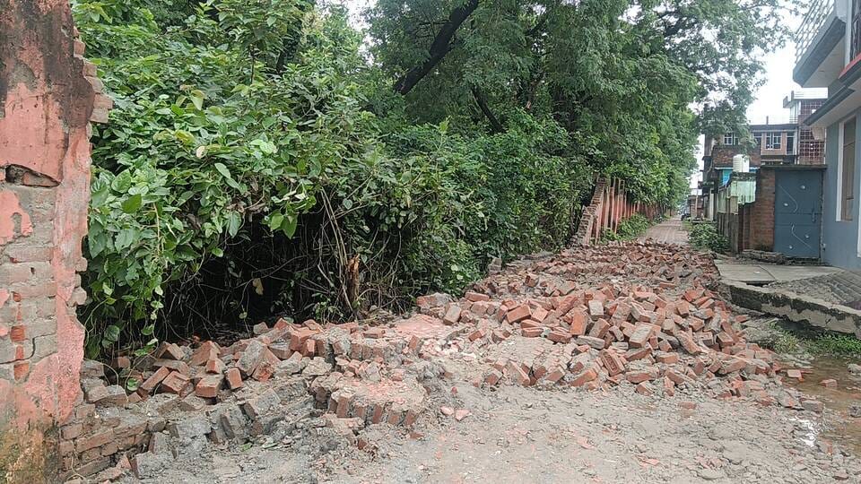 मुख्य मार्ग से पेड़ को हटाते हुए एसएसबी जवान। स्रोत: एसएसबी