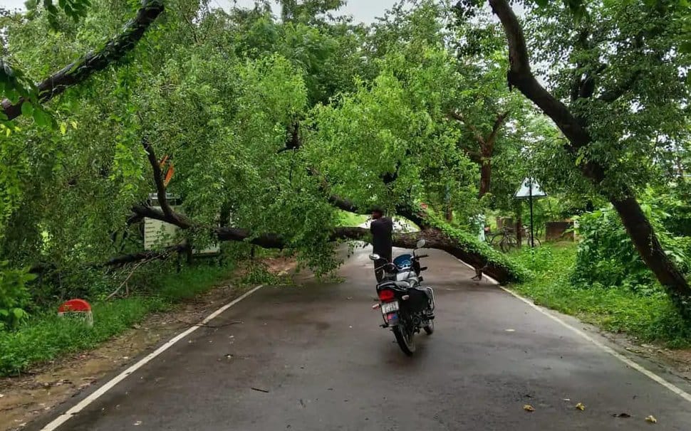 सोमवार को सुबह हुई जोरदार बारिश। संवाद