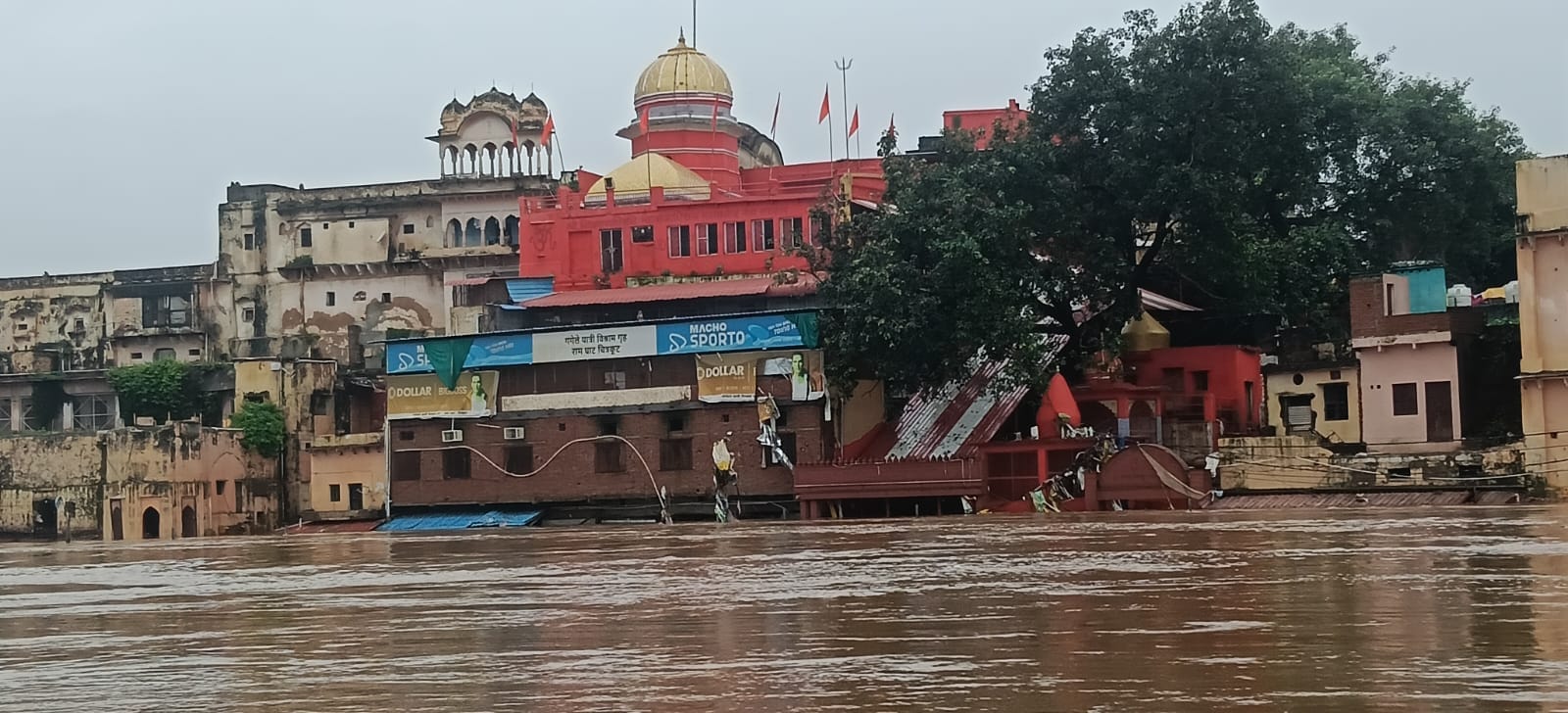 फोटो 02 सीकेटीपी 24 पर्यावरणविद् गुंजन मिश्रा। फोटो 02 सीकेटीपी 24 पर्यावरणविद् गुंजन मिश्रा।