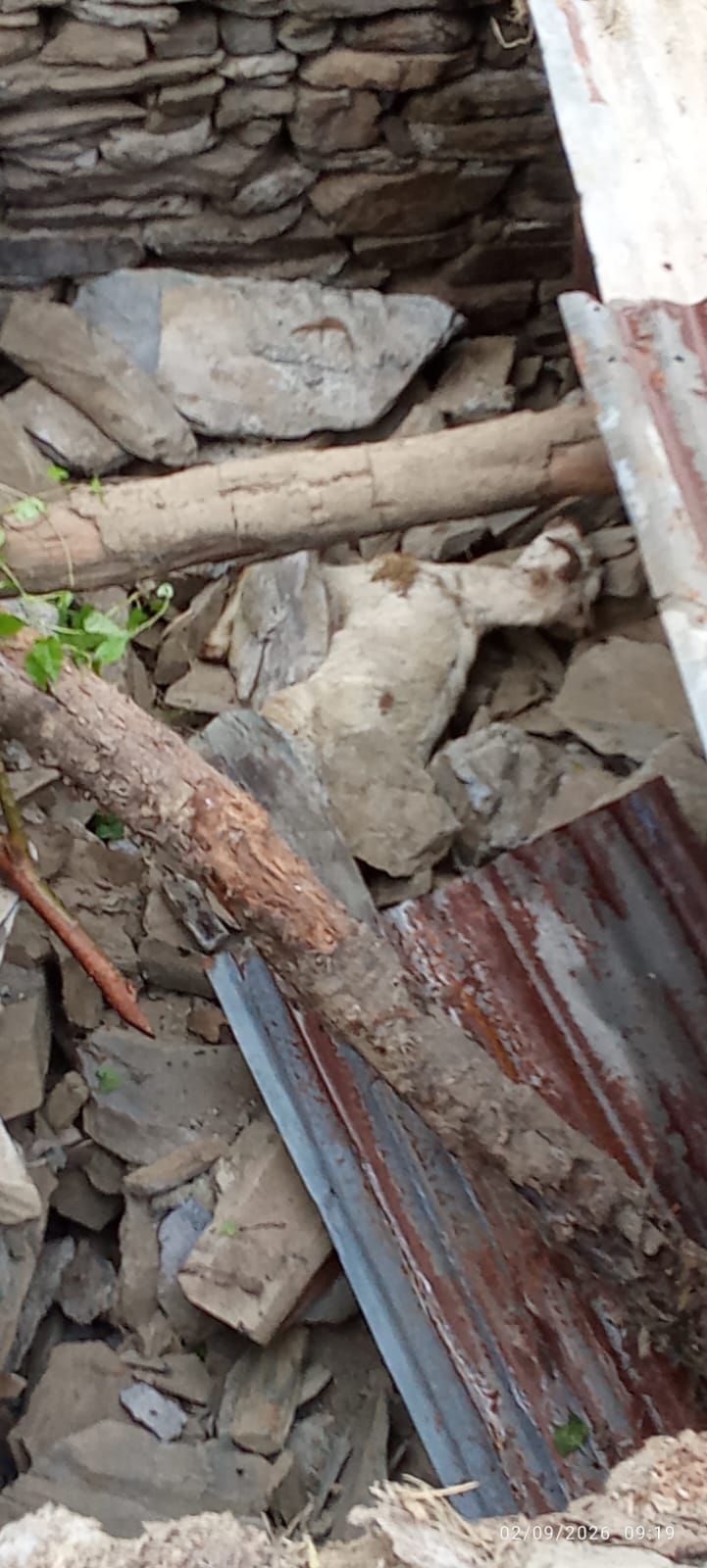 नाहन-ददाहू मार्ग पर नेहली में सड़क बंद होने से पैदल गुजरते लोग। संवाद