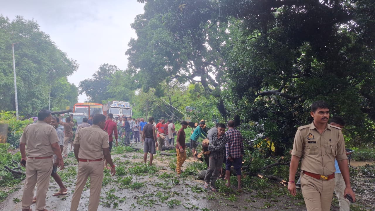 पीलीभीत बीसलपुर राजमार्ग पर कस्बा बरखेड़ा में गिरा पेड़ संवाद पीलीभीत बीसलपुर राजमार्ग पर कस्बा बरखेड़ा में गिरा पेड़ संवाद