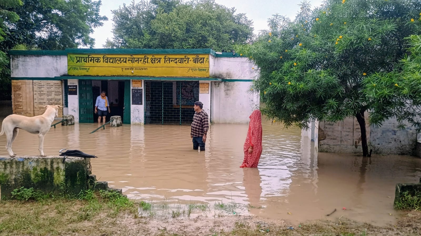 फोटो-10-तिंदवारी के प्राथमिक स्वास्थ्य केंद्र परसौडा में भरा घुटनों तक पानी। संवाद फोटो-10-तिंदवारी के प्राथमिक स्वास्थ्य केंद्र परसौडा में भरा घुटनों तक पानी। संवाद