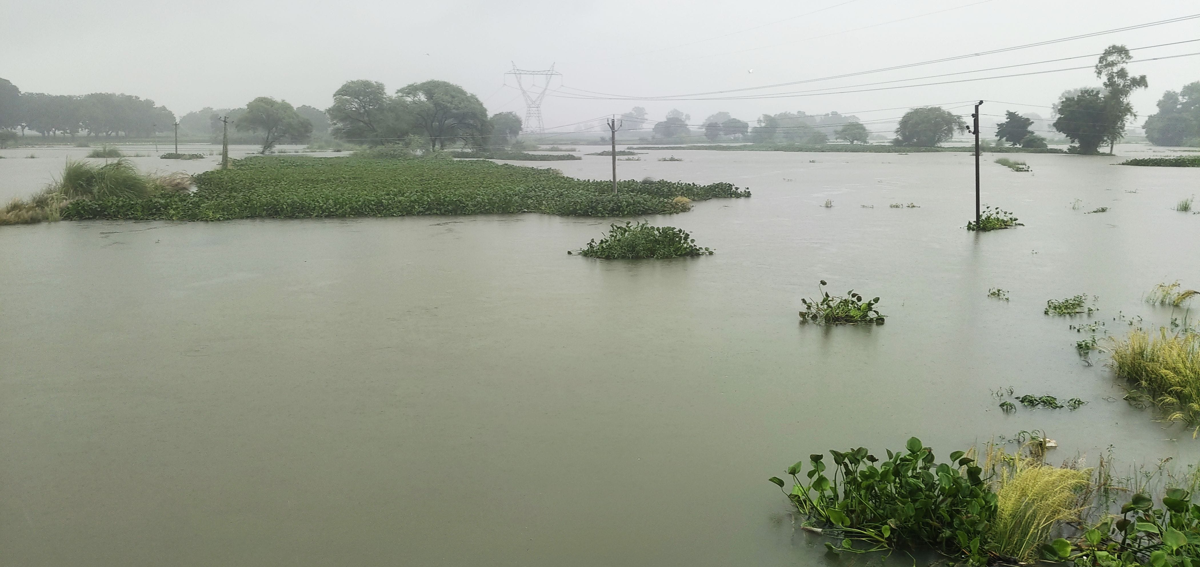 फोटो-16-असोथर क्षेत्र में नदी का जल स्तर बढ़ने से खेतों में भरा पानी। संवाद ऋ फोटो-16-असोथर क्षेत्र में नदी का जल स्तर बढ़ने से खेतों में भरा पानी। संवाद ऋ