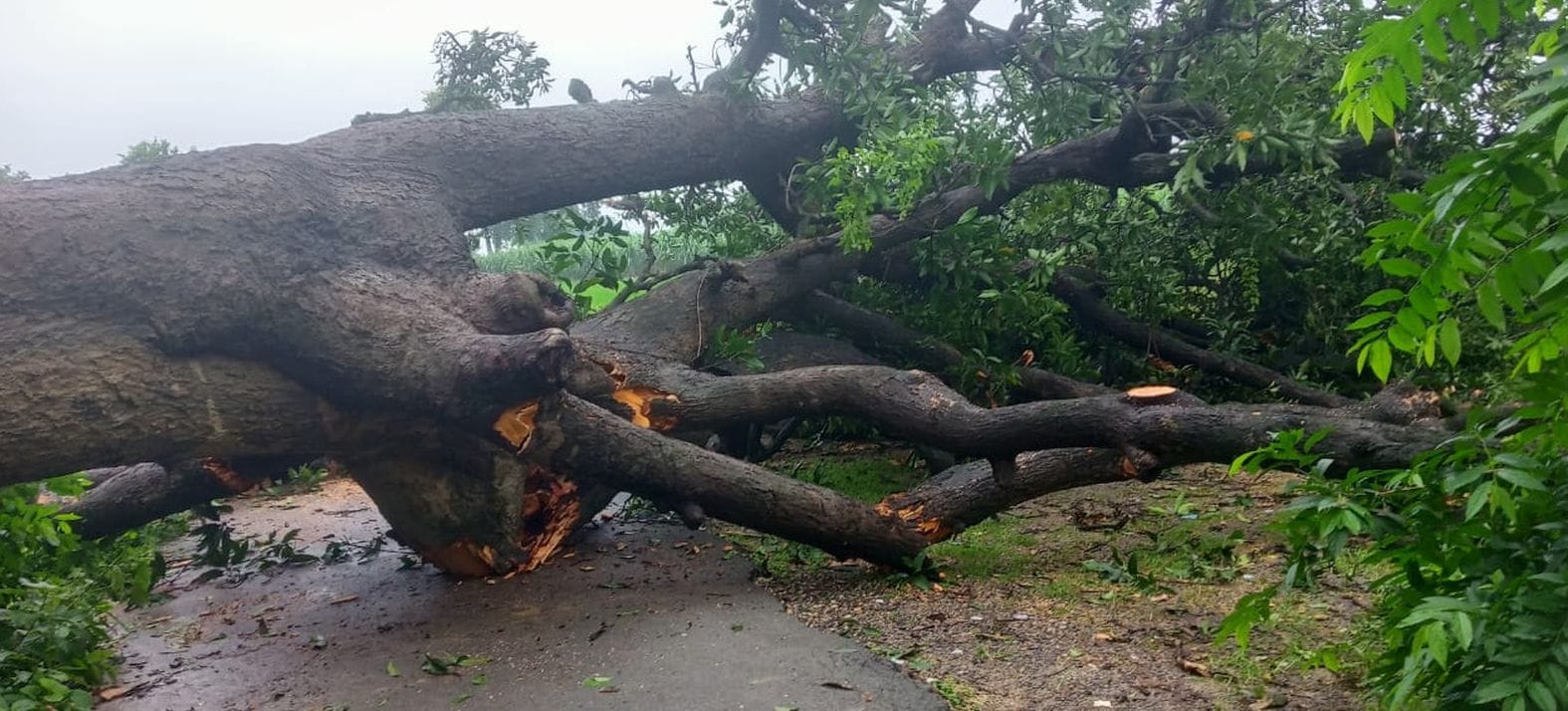 बारिश का कहर, लोग हो रहे परेशान बारिश का कहर, लोग हो रहे परेशान