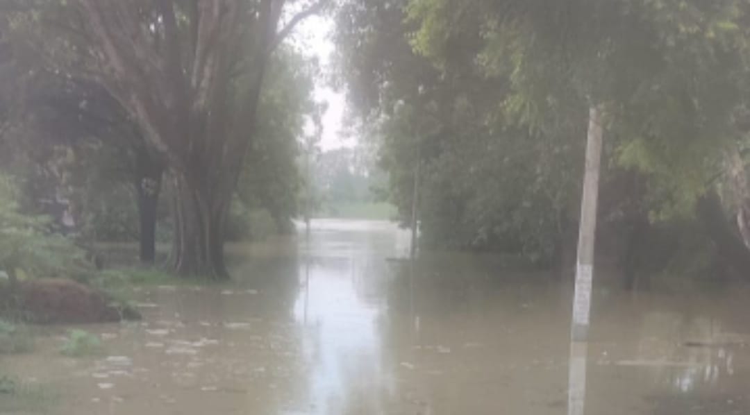 फोटो 04 सीकेटीपी 24 अर्की तिराहार क्षेत्र में मार्ग बहते पानी से निकलते बाइक सवार। संवाद फोटो 04 सीकेटीपी 24 अर्की तिराहार क्षेत्र में मार्ग बहते पानी से निकलते बाइक सवार। संवाद