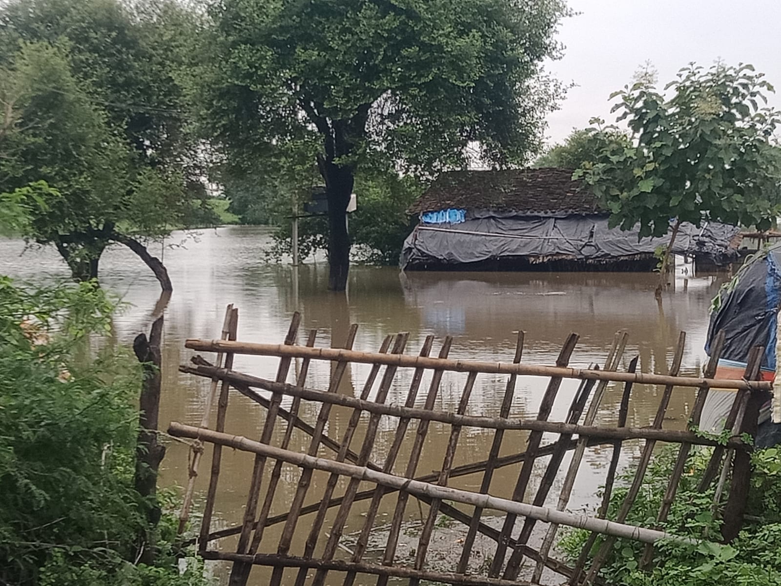 फोटो-10-तिंदवारी में बांदा-टांडा हाईवे पर जलभराव के बीच गुजरते वाहन। संवाद फोटो-10-तिंदवारी में बांदा-टांडा हाईवे पर जलभराव के बीच गुजरते वाहन। संवाद