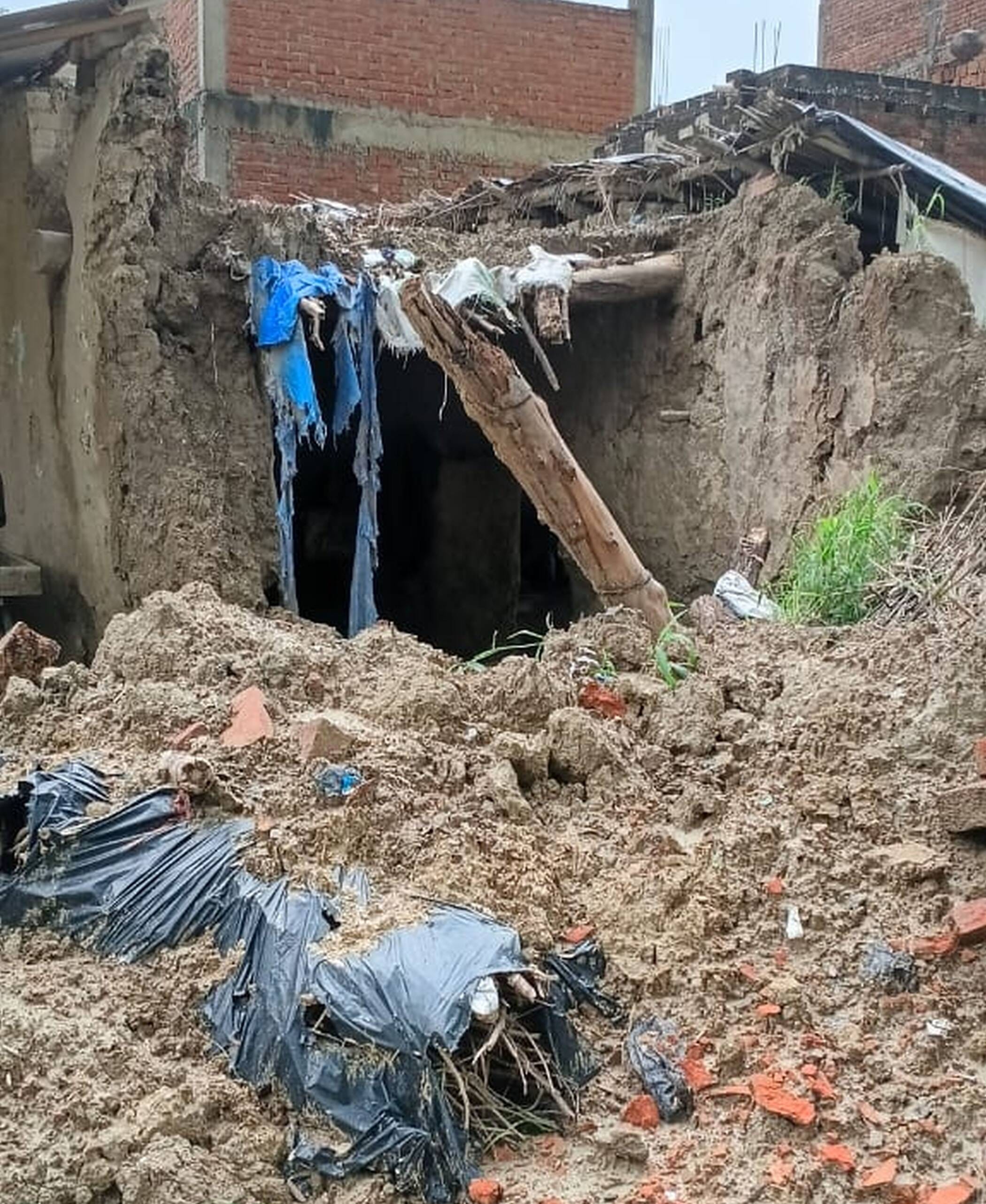 फोटो-13-उत्तर माध्यमिक विद्यालय अदींपुर की बाउंड्री पर गिरा पेड़। संवाद
