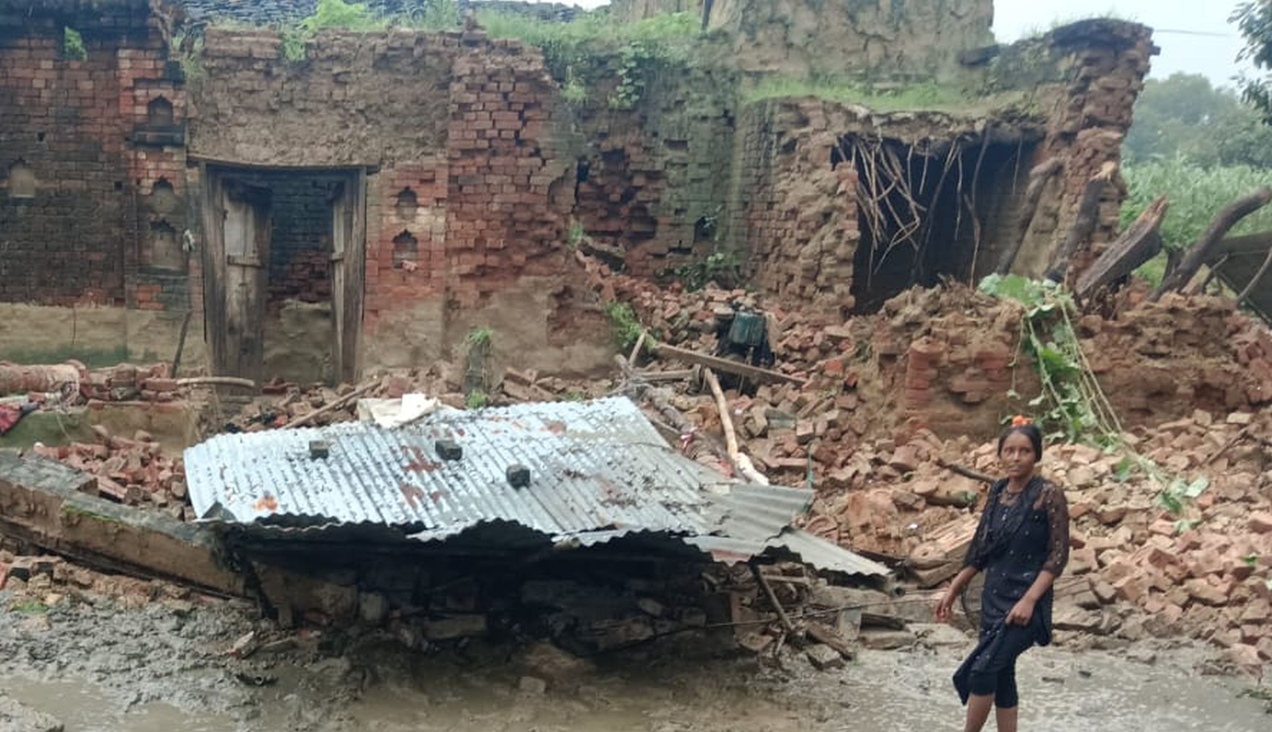 फोटो-13-उत्तर माध्यमिक विद्यालय अदींपुर की बाउंड्री पर गिरा पेड़। संवाद