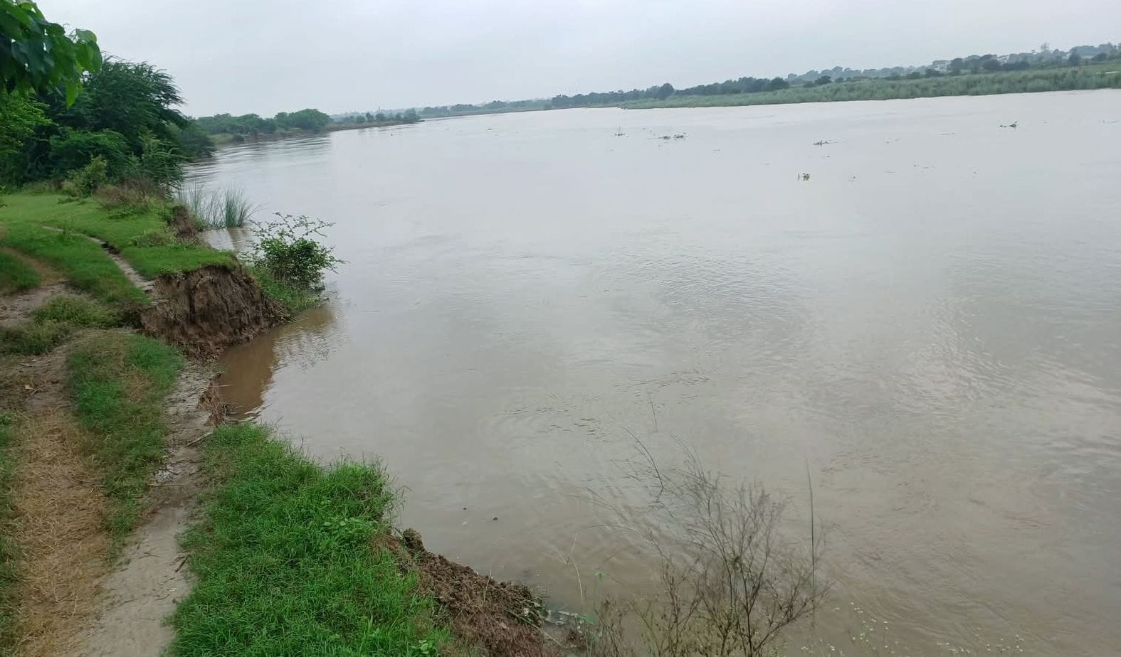 धनपतगंज क्षेत्र में उफनाई गोमती नदी। संवाद धनपतगंज क्षेत्र में उफनाई गोमती नदी। संवाद