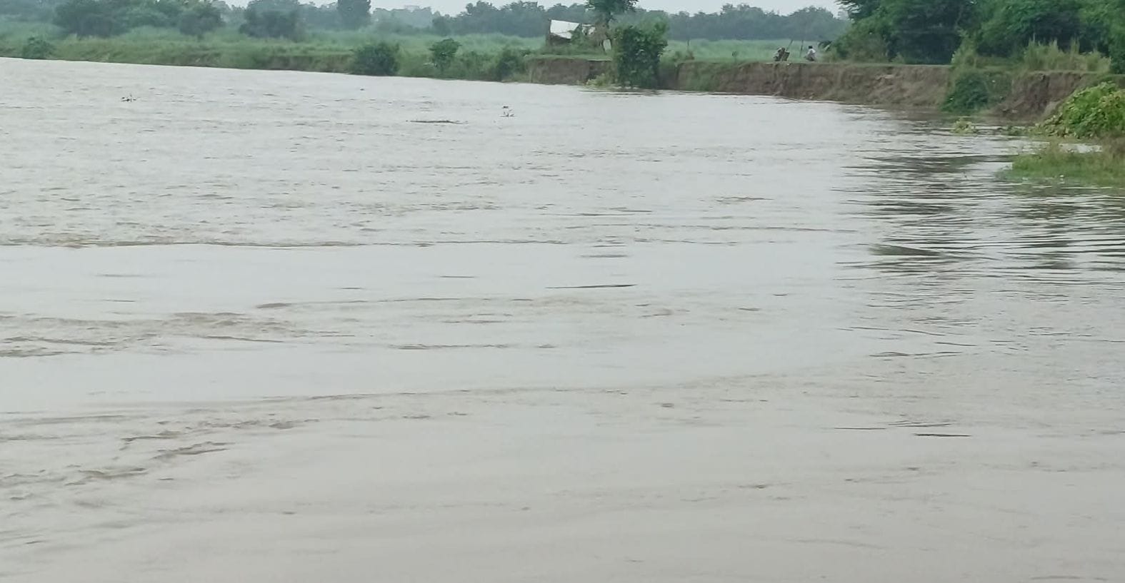 धनपतगंज क्षेत्र में उफनाई गोमती नदी। संवाद धनपतगंज क्षेत्र में उफनाई गोमती नदी। संवाद