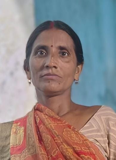 डिपो पर खड़ी बस में बंद पड़े पैनिक बटन। संवाद डिपो पर खड़ी बस में बंद पड़े पैनिक बटन। संवाद