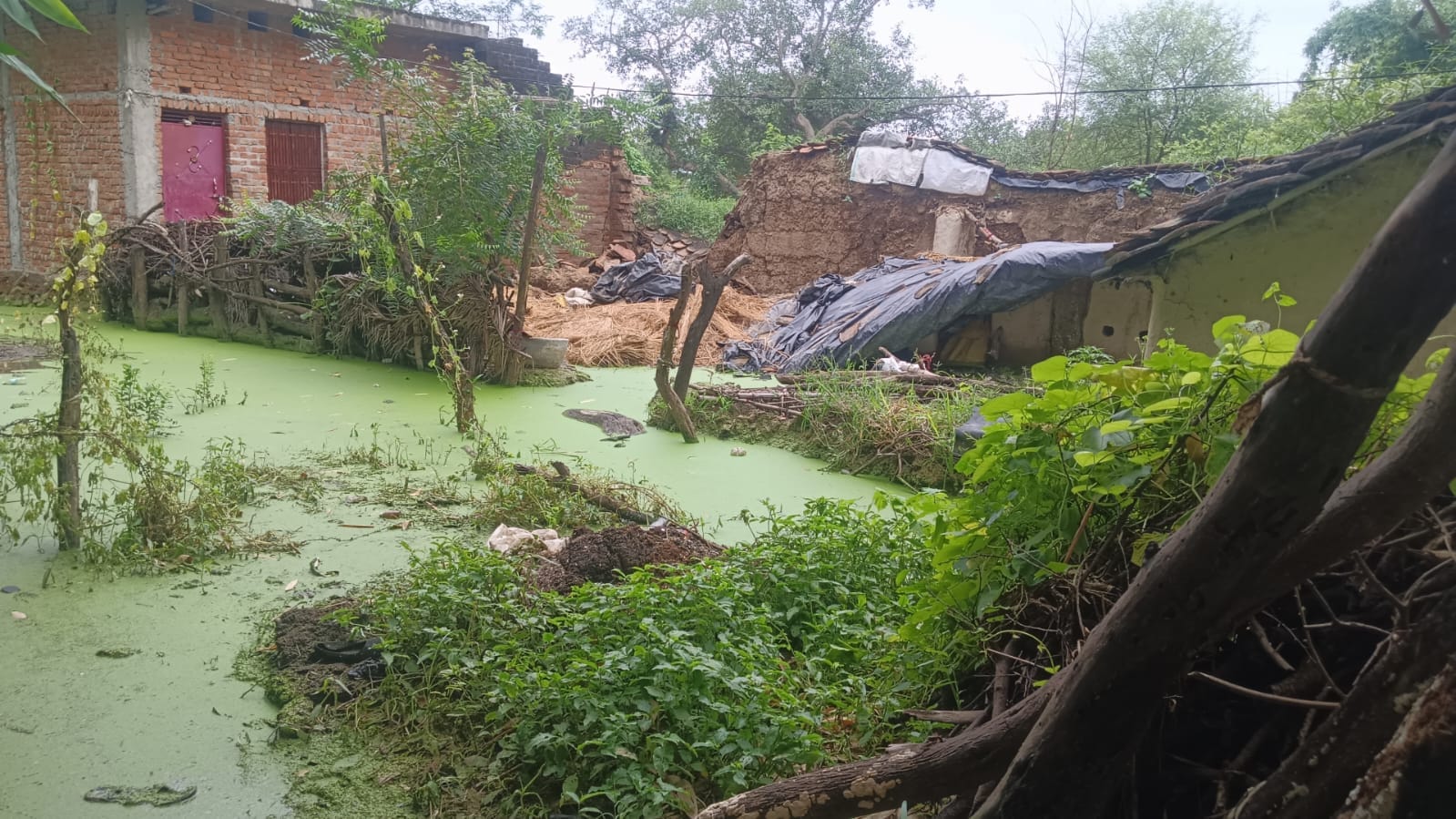 फोटो -14- गांव बदौसा में बारिश के पानी में डूबे घर निहारते परिजन। संवाद फोटो -14- गांव बदौसा में बारिश के पानी में डूबे घर निहारते परिजन। संवाद