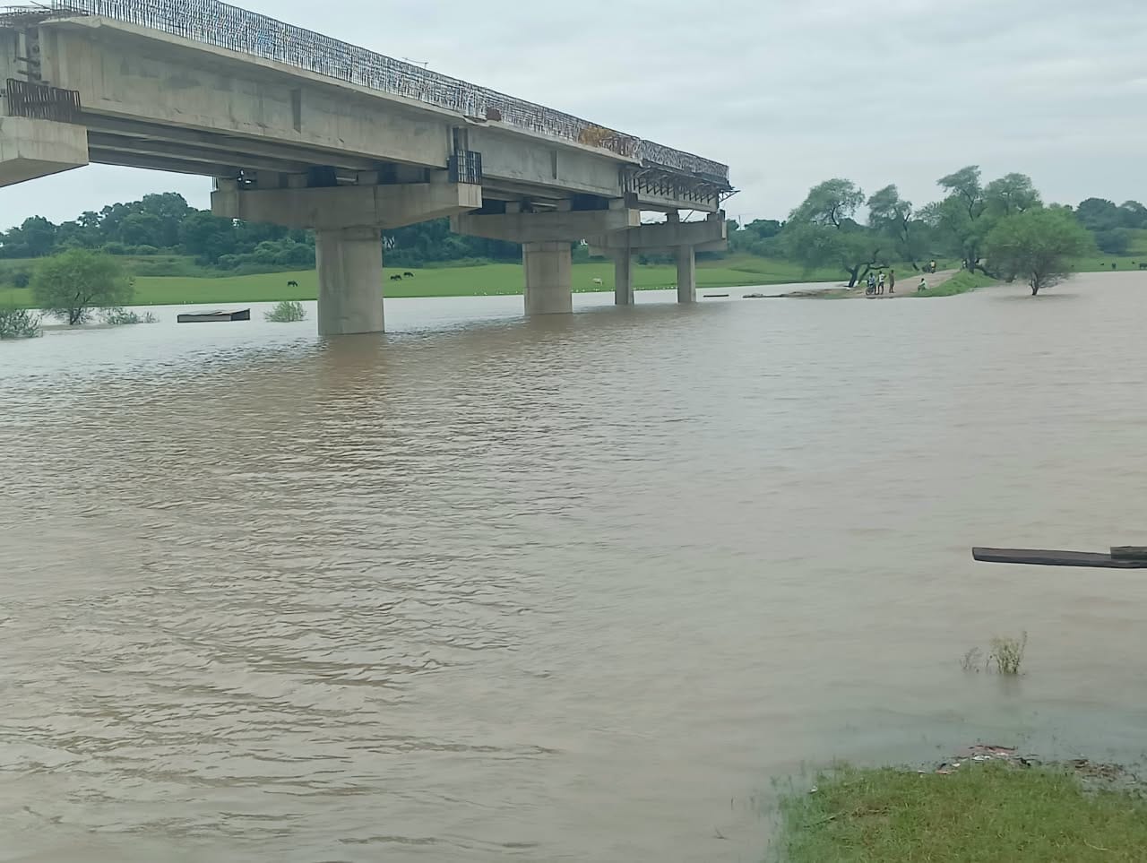 फोटो -14- गांव बदौसा में बारिश के पानी में डूबे घर निहारते परिजन। संवाद फोटो -14- गांव बदौसा में बारिश के पानी में डूबे घर निहारते परिजन। संवाद