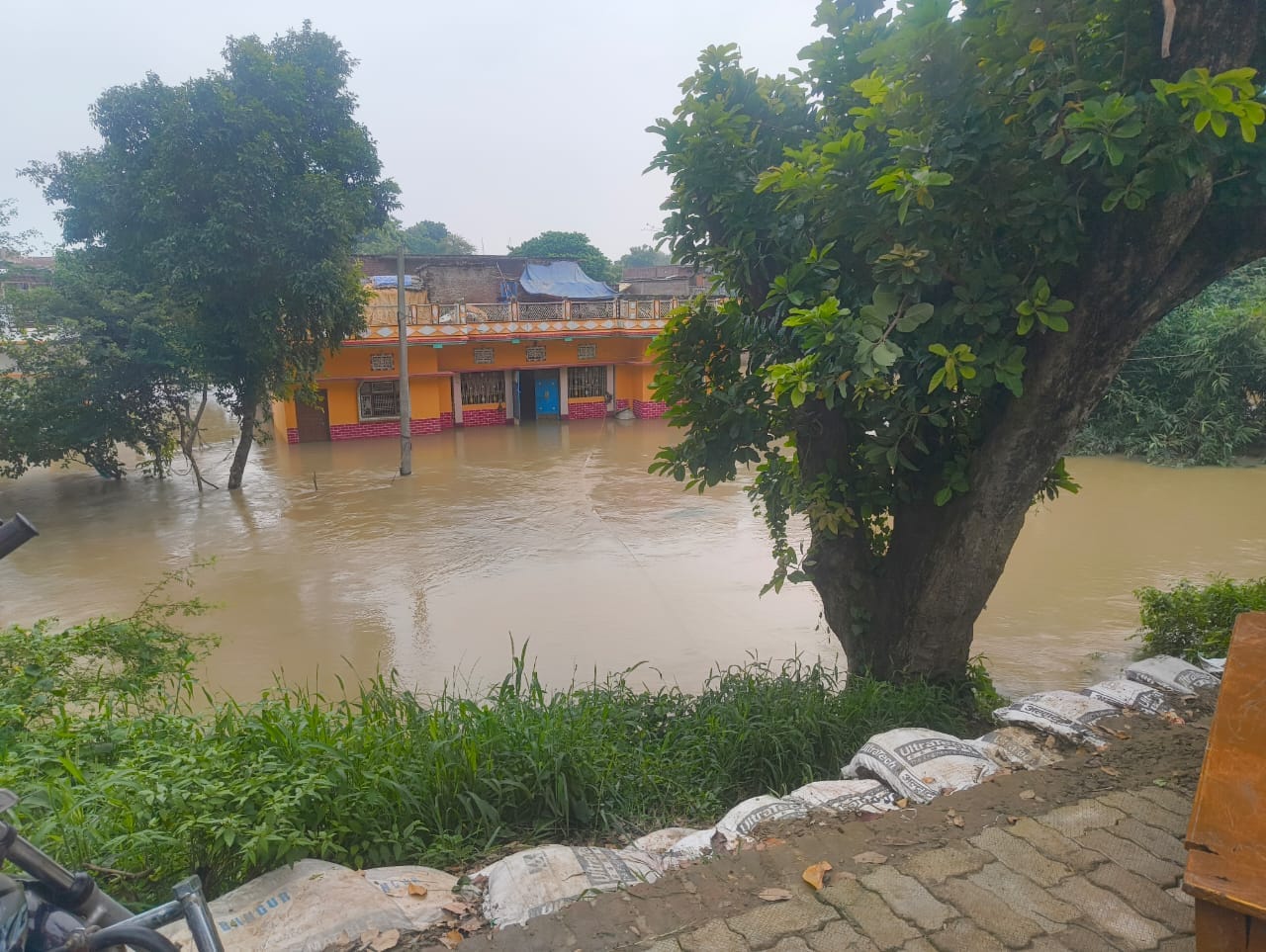 गंगा नदी के बाढ़ के पानी घिरा उमरपुर दियरा गांव स्थित मकान।संवाद