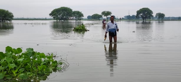 रेवतीपुर गांव में मकान में बाढ़ पानी का पानी घुसने के बाद सड़क पर गृहस्थी के सामान के साथ जीवन रेवतीपुर गांव में मकान में बाढ़ पानी का पानी घुसने के बाद सड़क पर गृहस्थी के सामान के साथ जीवन