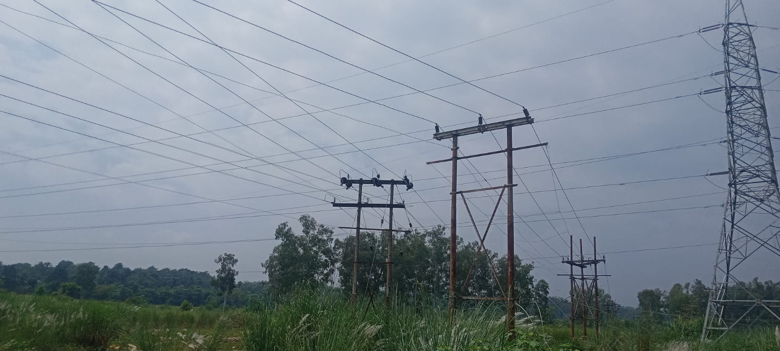 दीपक शर्मा, निवासी कोट
