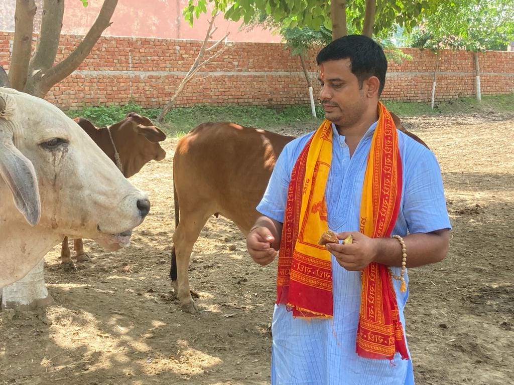 अवागढ़ के गांव नगला लोधा की गोशाला में मौजूद विभिन्न प्रजातियों के गोवंश। स्रोत स्वयं अवागढ़ के गांव नगला लोधा की गोशाला में मौजूद विभिन्न प्रजातियों के गोवंश। स्रोत स्वयं