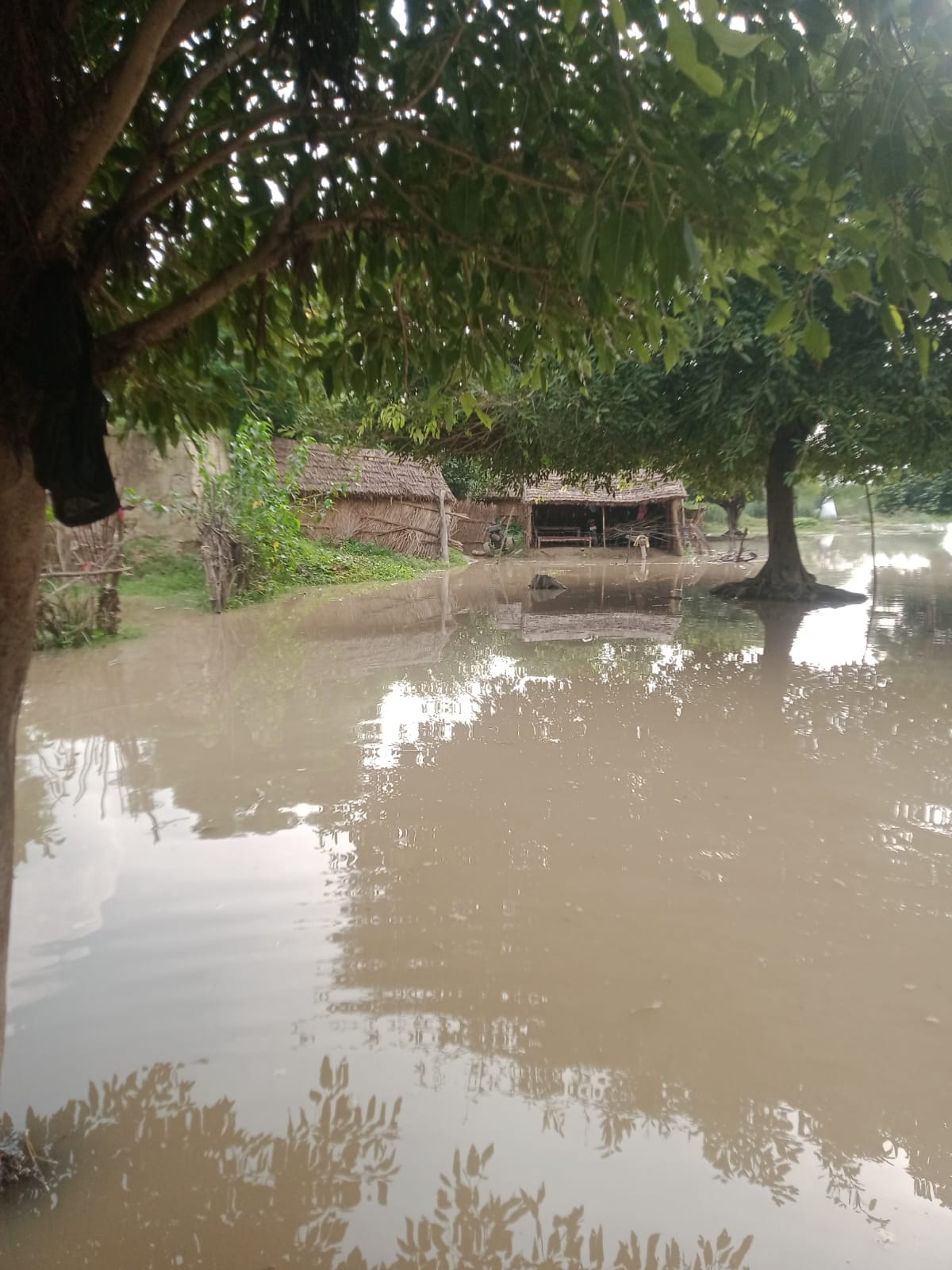 बाढ़ से घिरे सकतपुर गांव के ग्रामीण गंतव्य जाने के लिए नाव का ले रहे सहारा। संवाद बाढ़ से घिरे सकतपुर गांव के ग्रामीण गंतव्य जाने के लिए नाव का ले रहे सहारा। संवाद