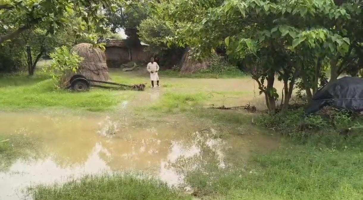 गोंडा में बाढ़ का नजारा। संवाद गोंडा में बाढ़ का नजारा। संवाद