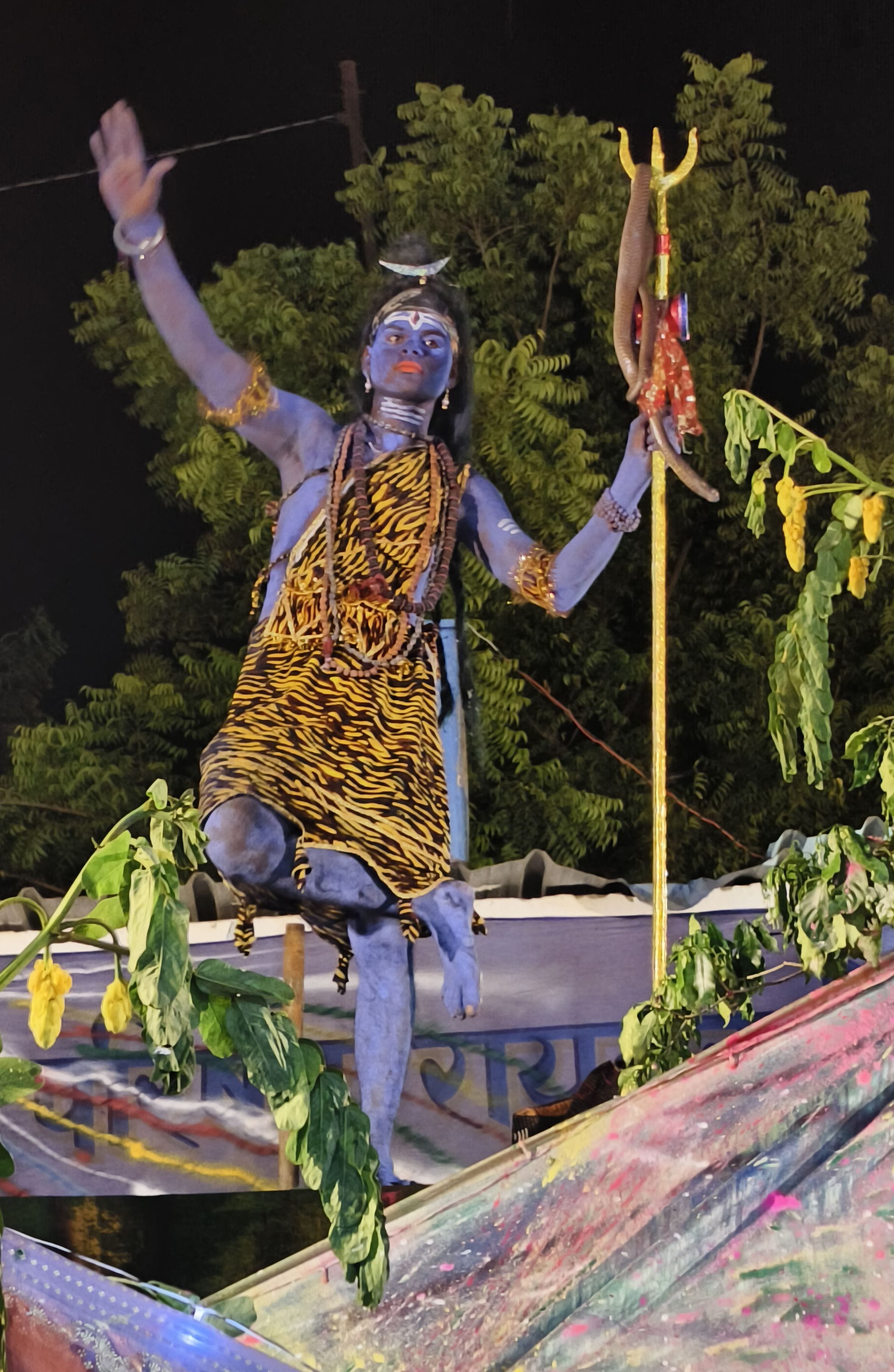 जन्मे कन्हाई... जन्मे कन्हाई...