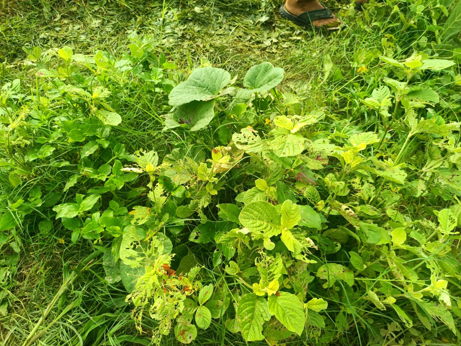 मृतक के पिता को समझाते विधायक प्रदीप यादव व साथ में खड़े एएसपी आलोक मिश्रा। संवाद मृतक के पिता को समझाते विधायक प्रदीप यादव व साथ में खड़े एएसपी आलोक मिश्रा। संवाद