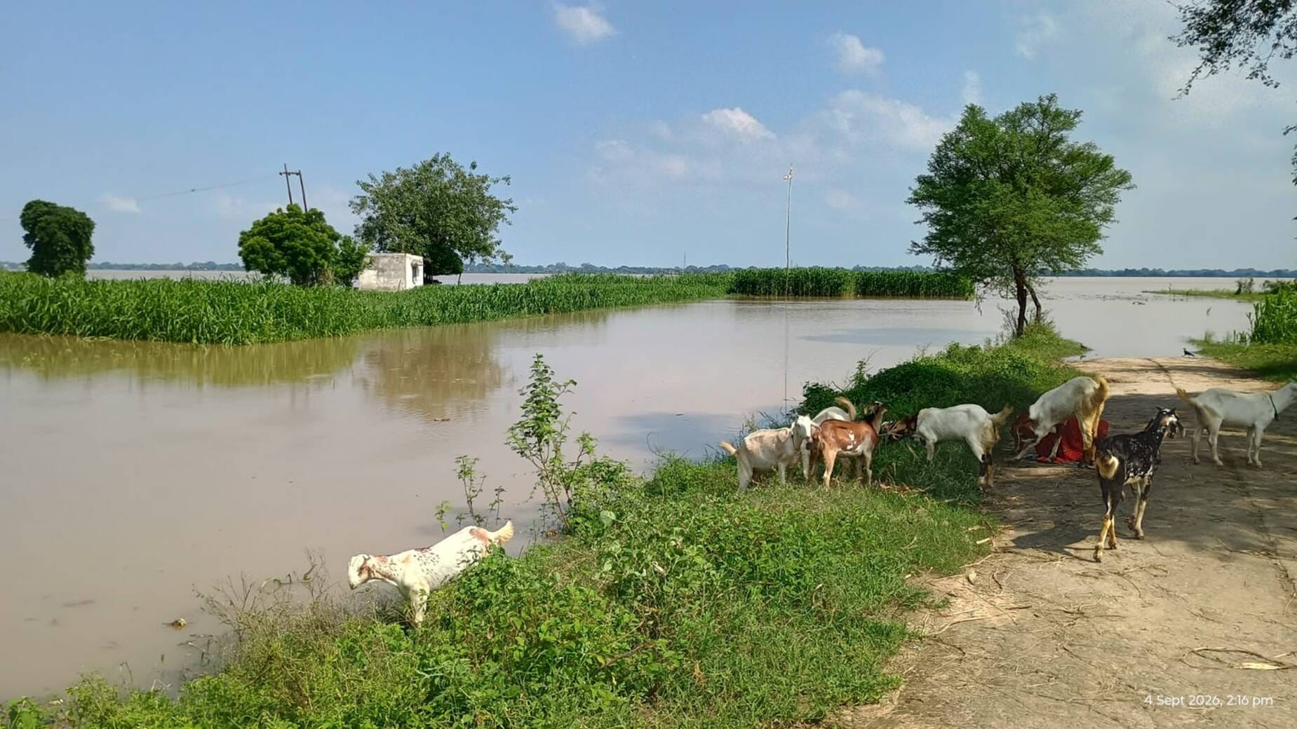 औड़िहार के वाराह घाट पर गंगा का जलस्तर कम होने के बाद पानी खेलते बच्चें। संवाद