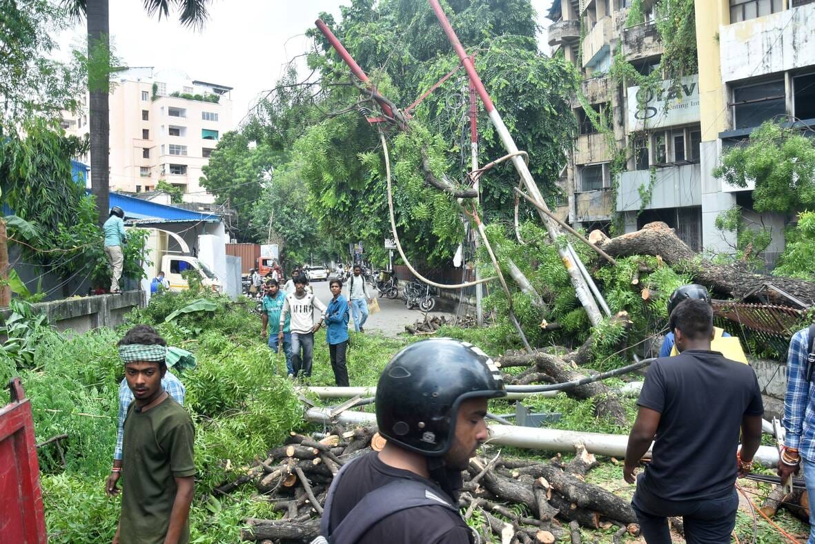 राणा प्रताप मार्ग पर गिरा पेड़। राणा प्रताप मार्ग पर गिरा पेड़।
