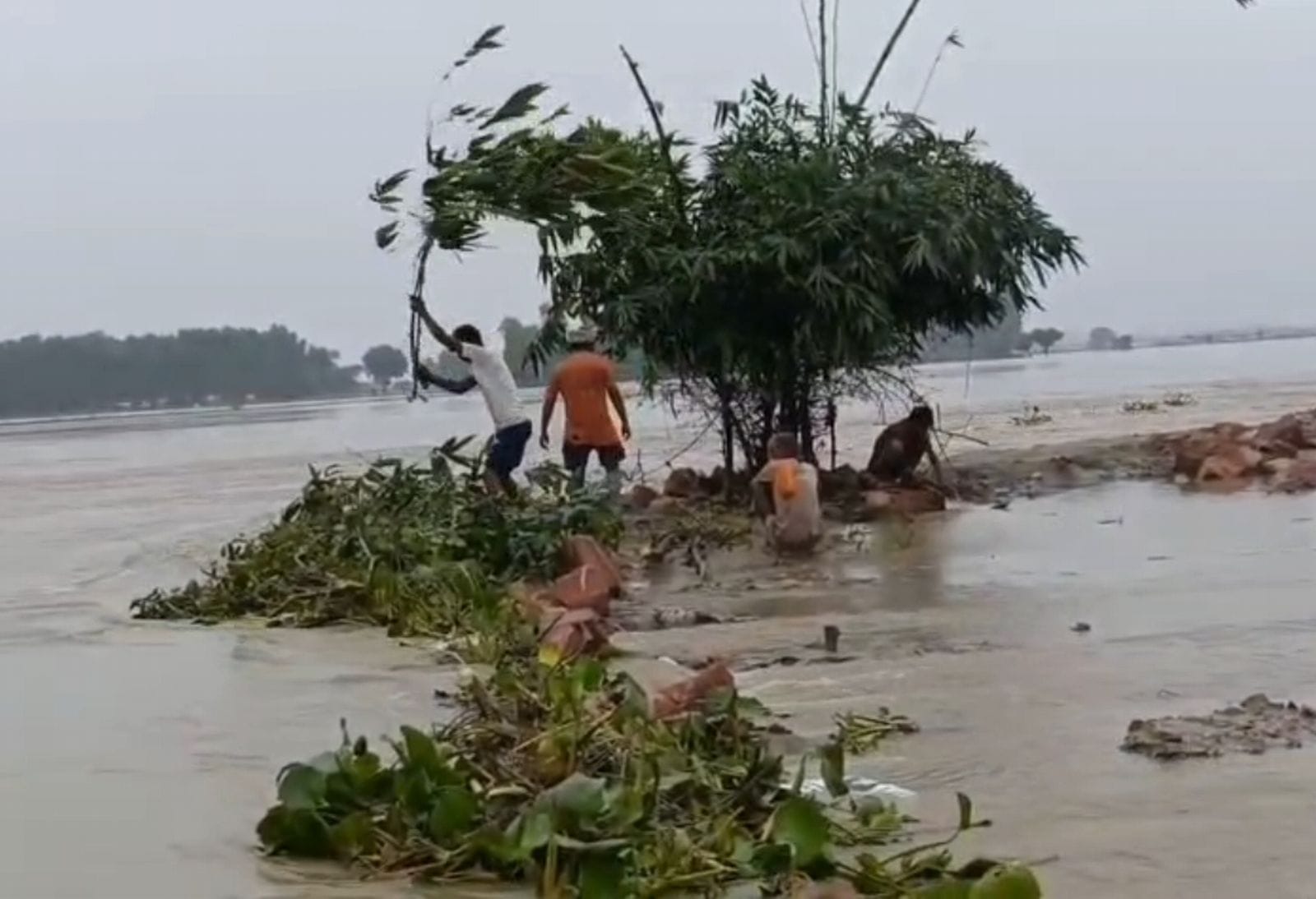 बिहारीपुर गांव की ओर बढ़ रहा पानी। संवाद