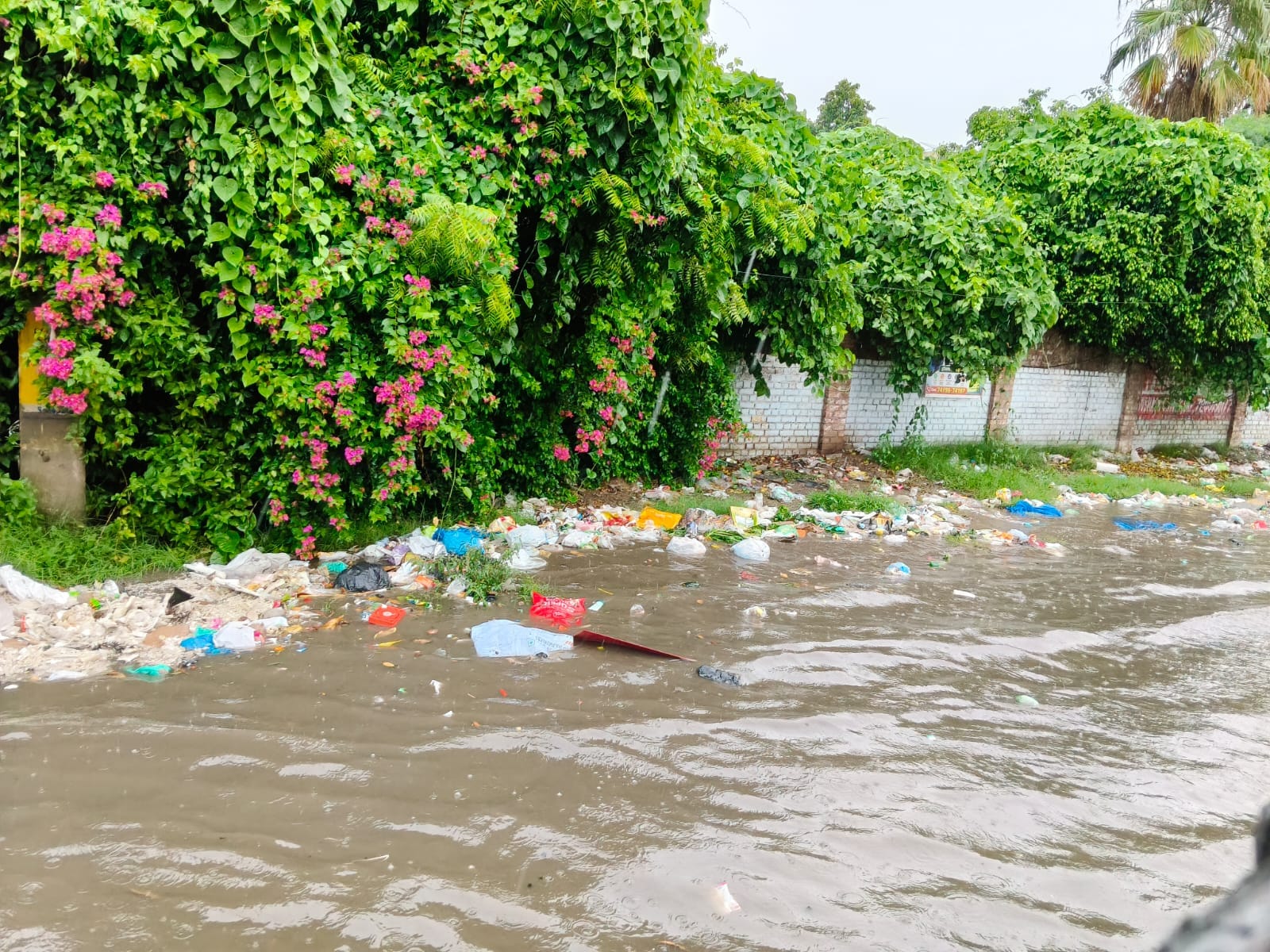 फोटो : बारिश में मस्ती: सोनीपत में बारिश के बीच बच्चों को बाइक पर बैठाकर सेक्टर-12 से गुजरता अ फोटो : बारिश में मस्ती: सोनीपत में बारिश के बीच बच्चों को बाइक पर बैठाकर सेक्टर-12 से गुजरता अ
