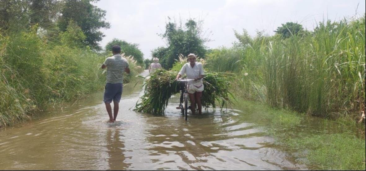 गोंडा में बाढ़ के हालात बयां करतीं तस्वीरें। संवाद गोंडा में बाढ़ के हालात बयां करतीं तस्वीरें। संवाद