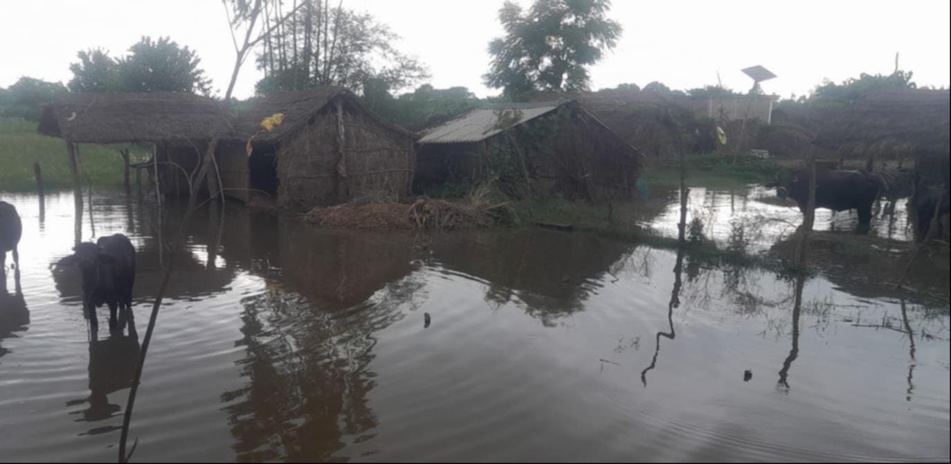गोंडा में बाढ़ के हालात बयां करतीं तस्वीरें। संवाद गोंडा में बाढ़ के हालात बयां करतीं तस्वीरें। संवाद