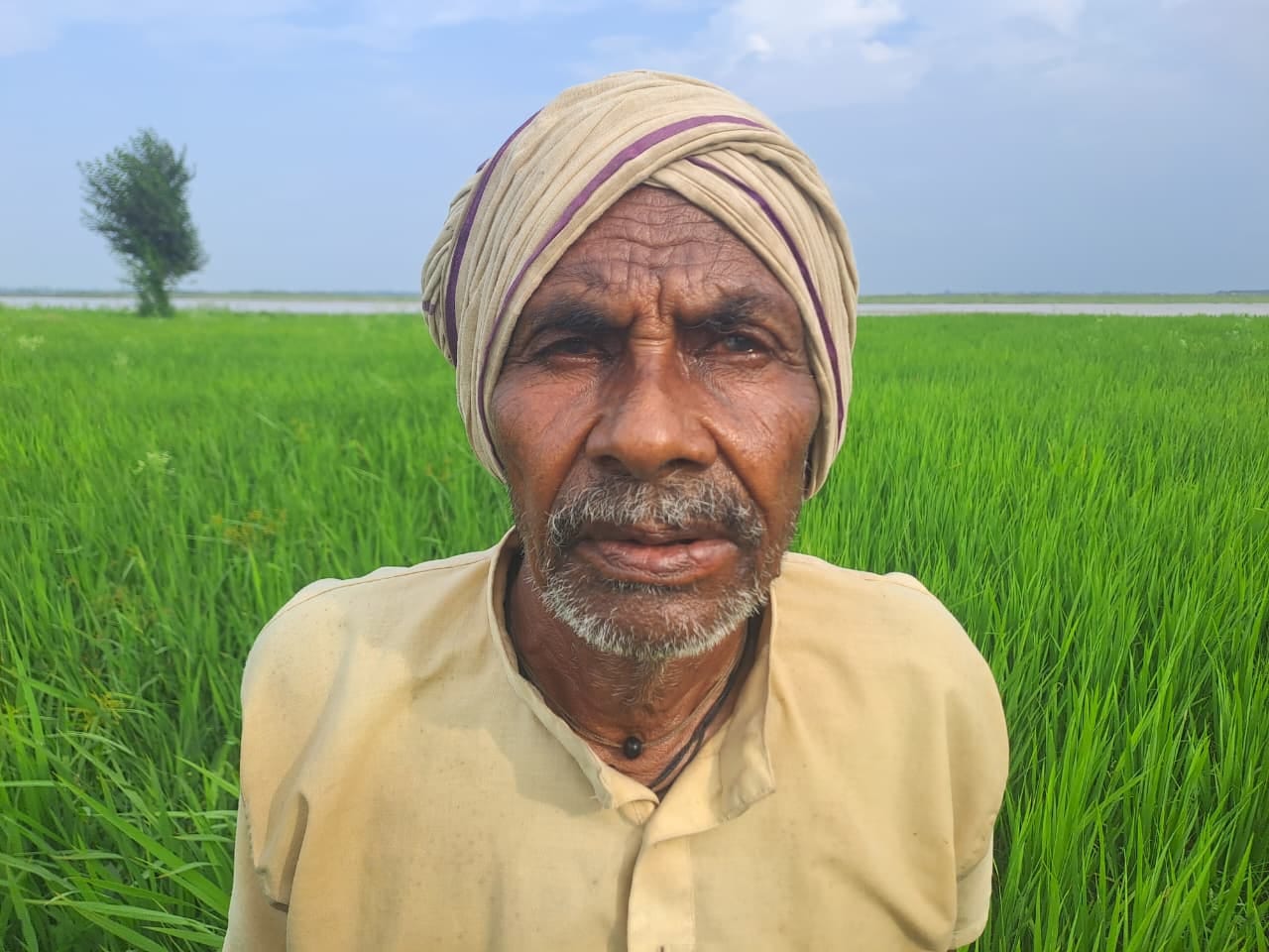 जमुनहा क्षेत्र में हसनापुर गांव के पास खेत का कटान करती राप्ती नदी।- जमुनहा क्षेत्र में हसनापुर गांव के पास खेत का कटान करती राप्ती नदी।-