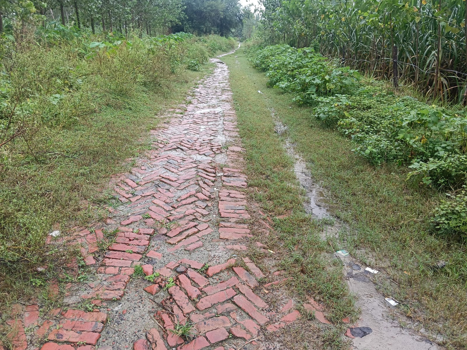 राम बहादुर राम बहादुर