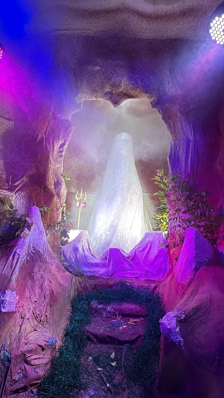 श्रीकृष्ण जन्मोत्सव की झांकी