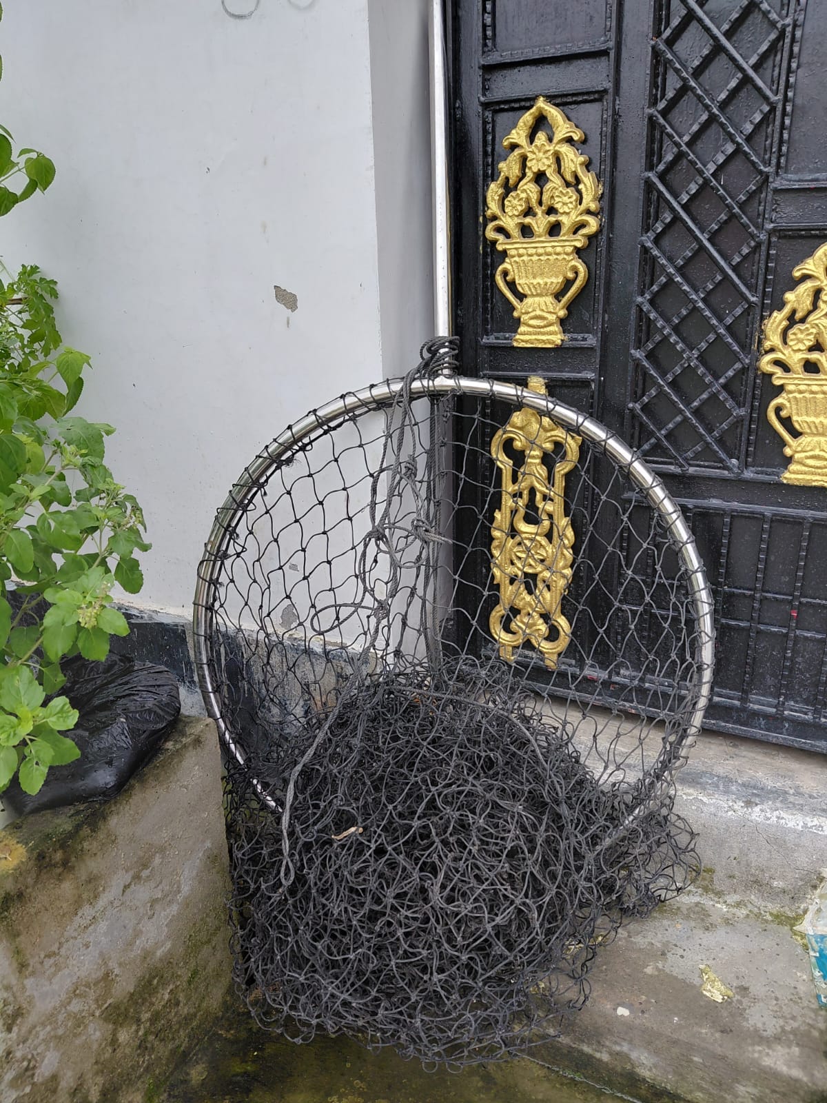 विकास कुमार विकास कुमार