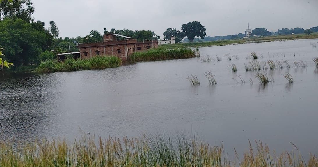 33 मेंहनगर क्षेत्र के लोनी नदी में उफान आने से धान की फसल बर्बाद। संवाद 33 मेंहनगर क्षेत्र के लोनी नदी में उफान आने से धान की फसल बर्बाद। संवाद
