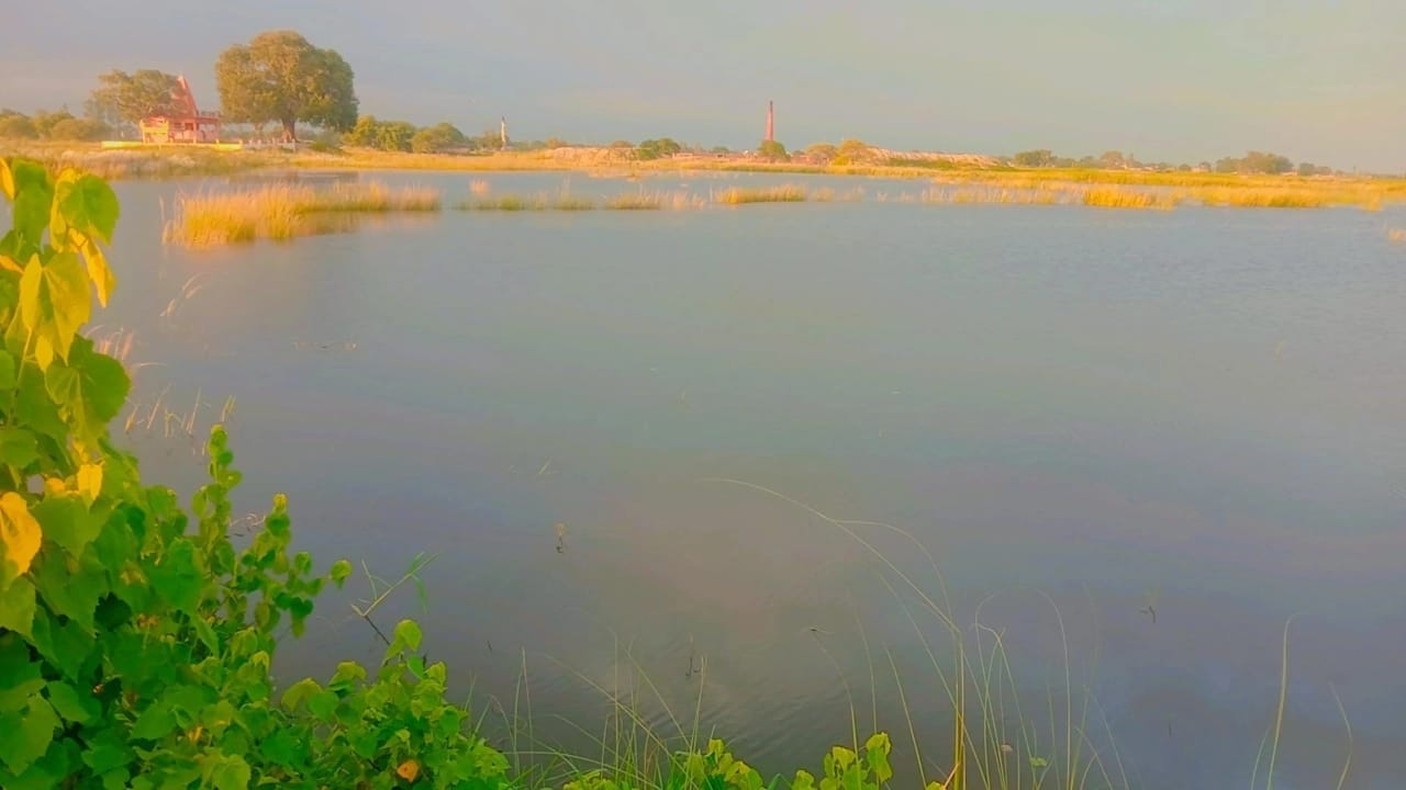 33 मेंहनगर क्षेत्र के लोनी नदी में उफान आने से धान की फसल बर्बाद। संवाद 33 मेंहनगर क्षेत्र के लोनी नदी में उफान आने से धान की फसल बर्बाद। संवाद