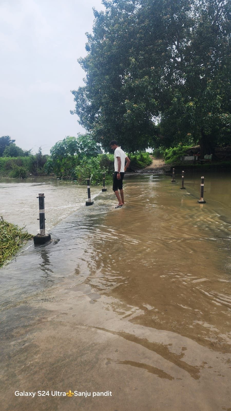 डलमऊ के रानी शिवाला घाट पर गंगा का बढ़ता जलस्तर। डलमऊ के रानी शिवाला घाट पर गंगा का बढ़ता जलस्तर।