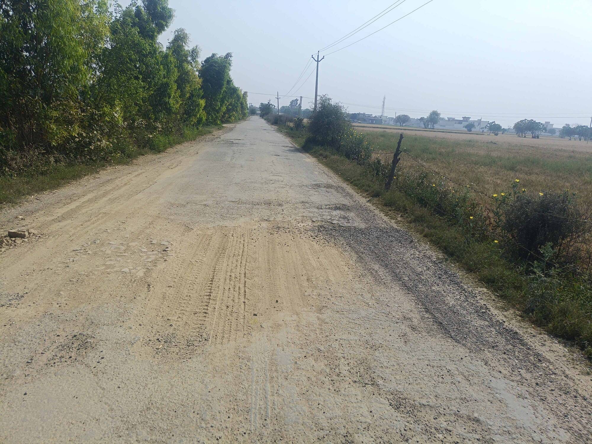 कैलरम और चंदाना को जोड़ने वाली खस्ताहाल सड़क। संवाद कैलरम और चंदाना को जोड़ने वाली खस्ताहाल सड़क। संवाद