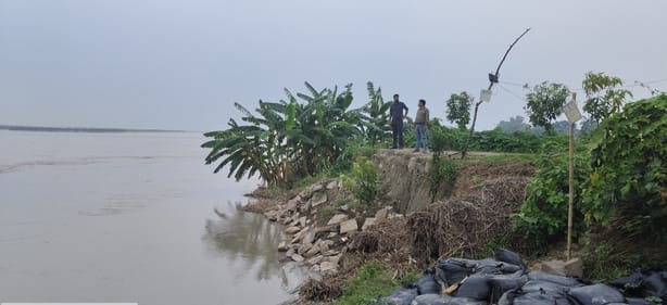 पड़रौना वन क्षेत्र में रोआरी गांव के समीप मुख्य पश्चिमी गंडक नहर के किनारे लेटा घड़ियाल।संवाद
