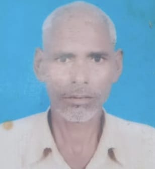 09 सीकेटीपी-11- खेत में खड़ी किसान की खराब धान की फसल। संवाद 09 सीकेटीपी-11- खेत में खड़ी किसान की खराब धान की फसल। संवाद