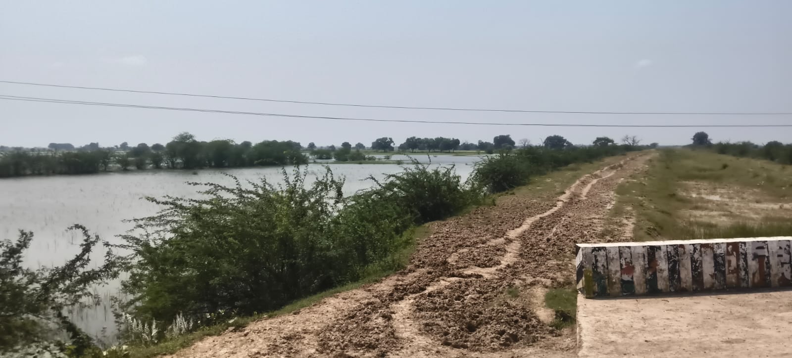 फोटो09एचएएमपी 14- जल निकासी की मांग करते किसान। संवाद फोटो09एचएएमपी 14- जल निकासी की मांग करते किसान। संवाद