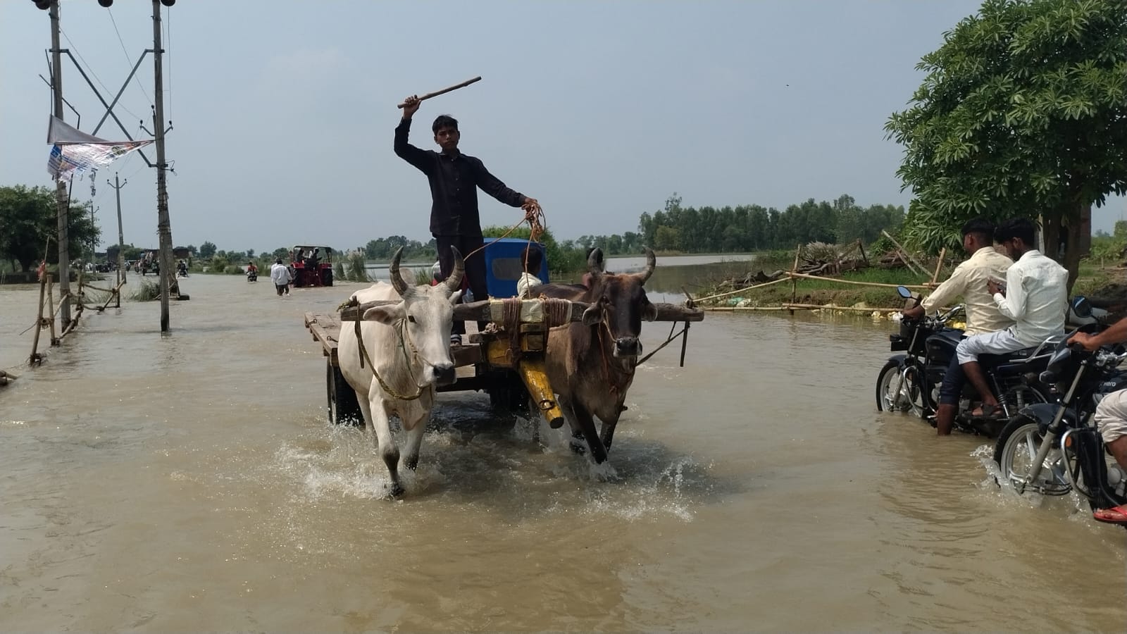जलालाबाद के गांव बड़ी कसारी के रहने वाले कलक्टर अपनी पत्नी गुड्डी व दो बच्चों के साथ जलालाबाद के जलालाबाद के गांव बड़ी कसारी के रहने वाले कलक्टर अपनी पत्नी गुड्डी व दो बच्चों के साथ जलालाबाद के