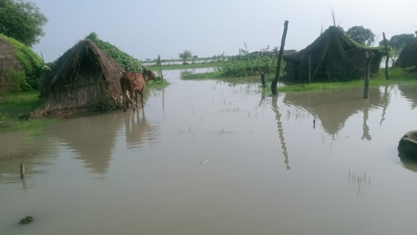 फोटो 30- मूंझखेड़ा में बाढ़ के पानी से घिरी झोपड़ी। स्रोत संवाद