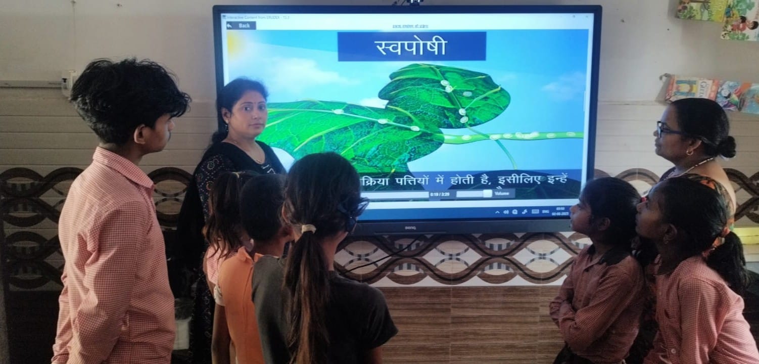 प्राथमिक विद्यालय की दीवार पर टंगे टीएलएम। प्राथमिक विद्यालय की दीवार पर टंगे टीएलएम।