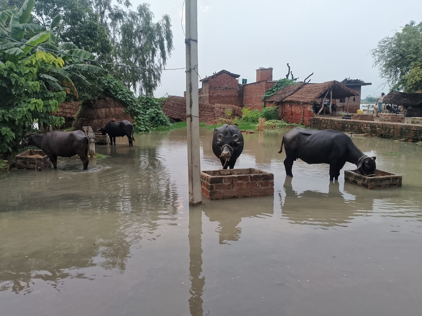 फोटो 38- नगला जयकिशन में बाढ़ के पानी के बीच हाथों में चप्पल लेकर स्कूल जाता छात्र। स्रोत संव