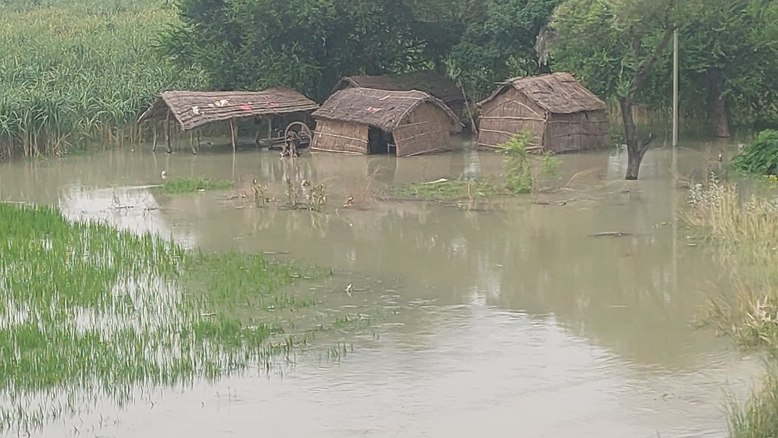 गोंडा में बाढ़ के हातात बयां करतीं तस्वीरें। संवाद