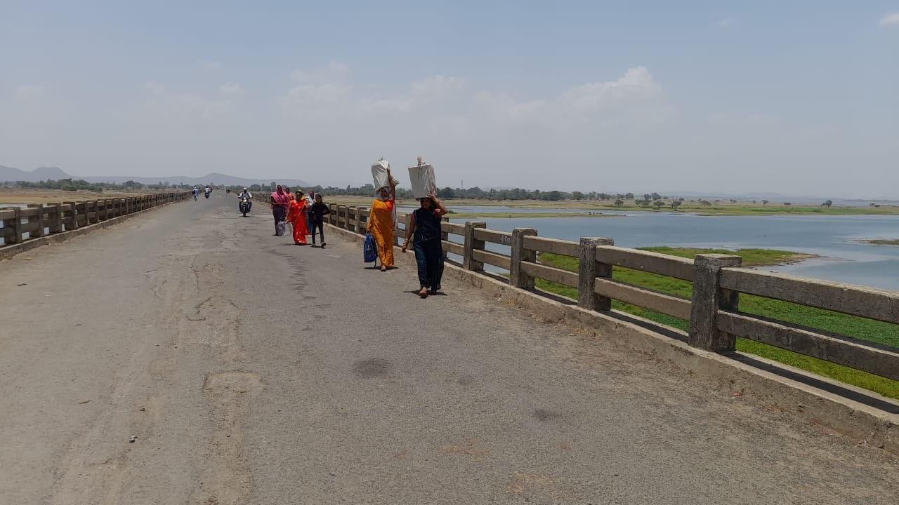 हाईकोर्ट ने महानदी में बने जर्जर पुल को जल्द दुरुस्त करने के दिए सख्त आदेश। हाईकोर्ट ने महानदी में बने जर्जर पुल को जल्द दुरुस्त करने के दिए सख्त आदेश।
